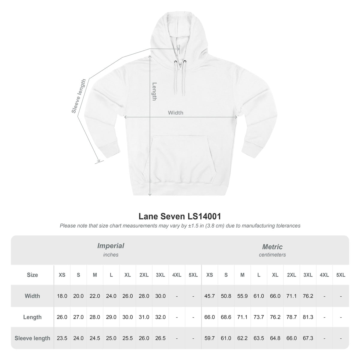 The Chaos Control Coordinator Hoodie