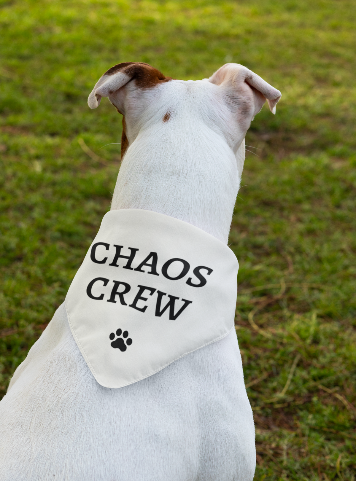 The "Chaos Crew" Clip-on Pet Bandana