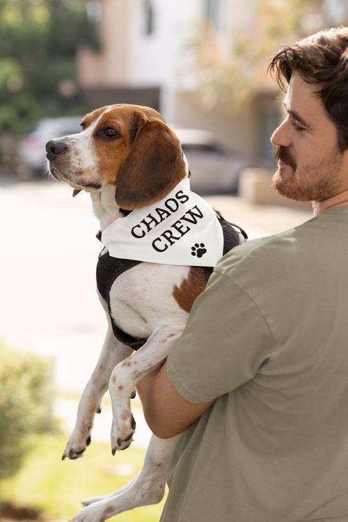 The "Chaos Crew" Clip-on Pet Bandana