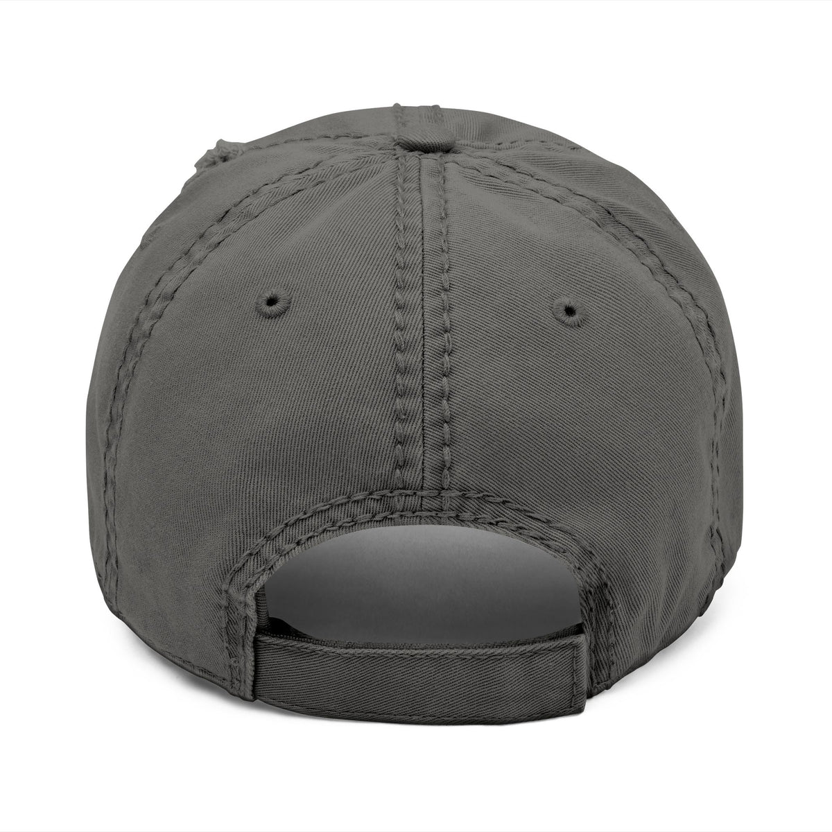 The "Chaos Control Coordinator" Distressed Dad Hat