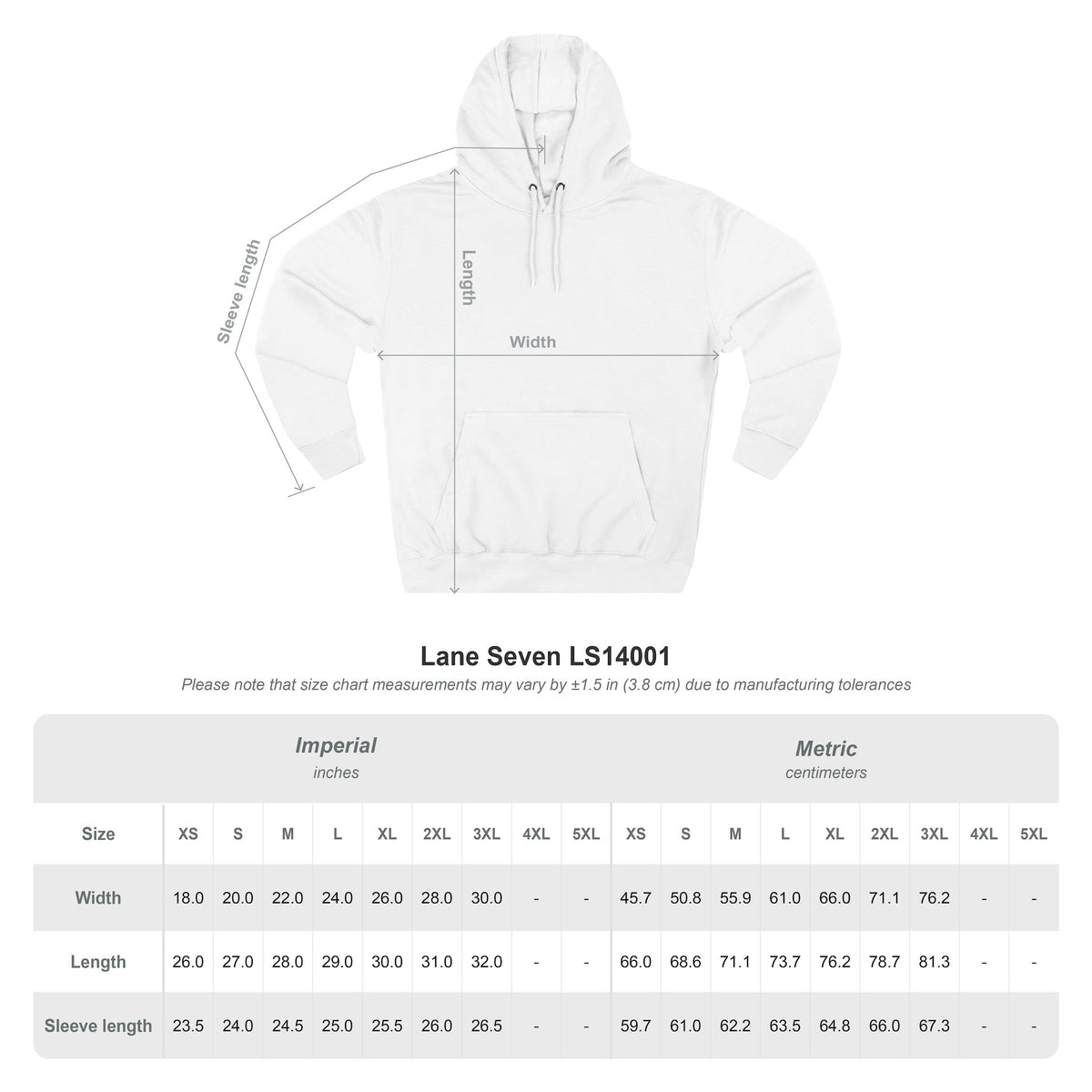 The Chaos Control Coordinator Hoodie