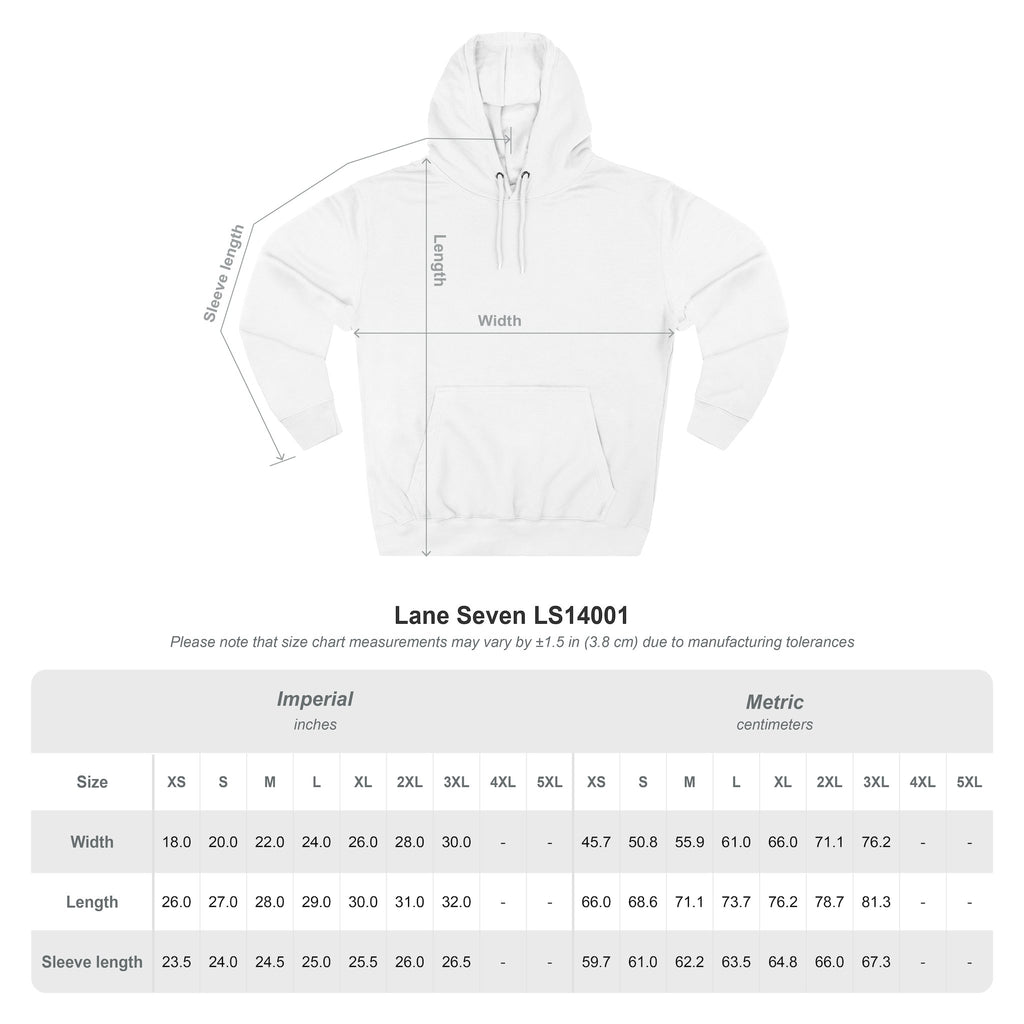The Chaos Control Coordinator Hoodie