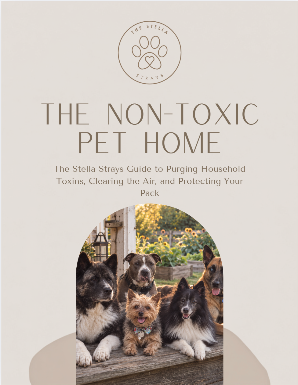 The Non-Toxic Pet Home Workbook: A 7-Day Environmental Purge System
